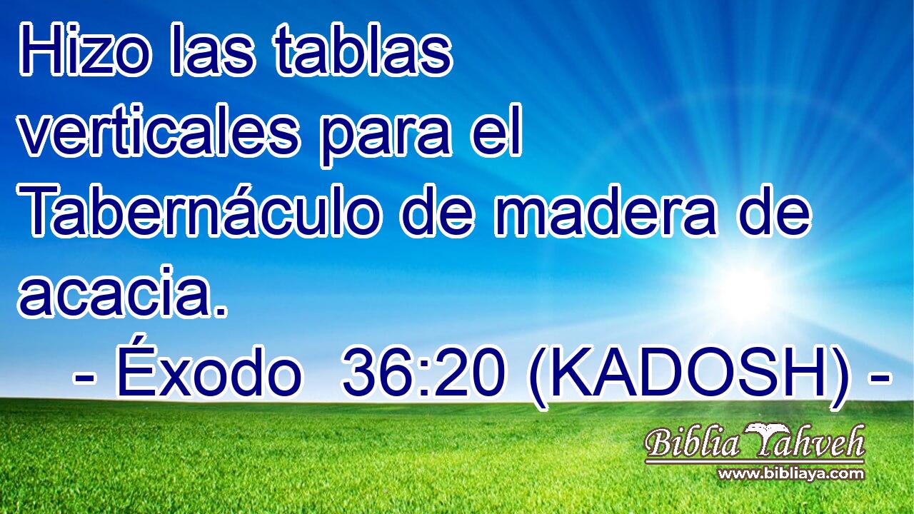  Hizo las tablas verticales para el Tabernáculo de madera de acacia. 