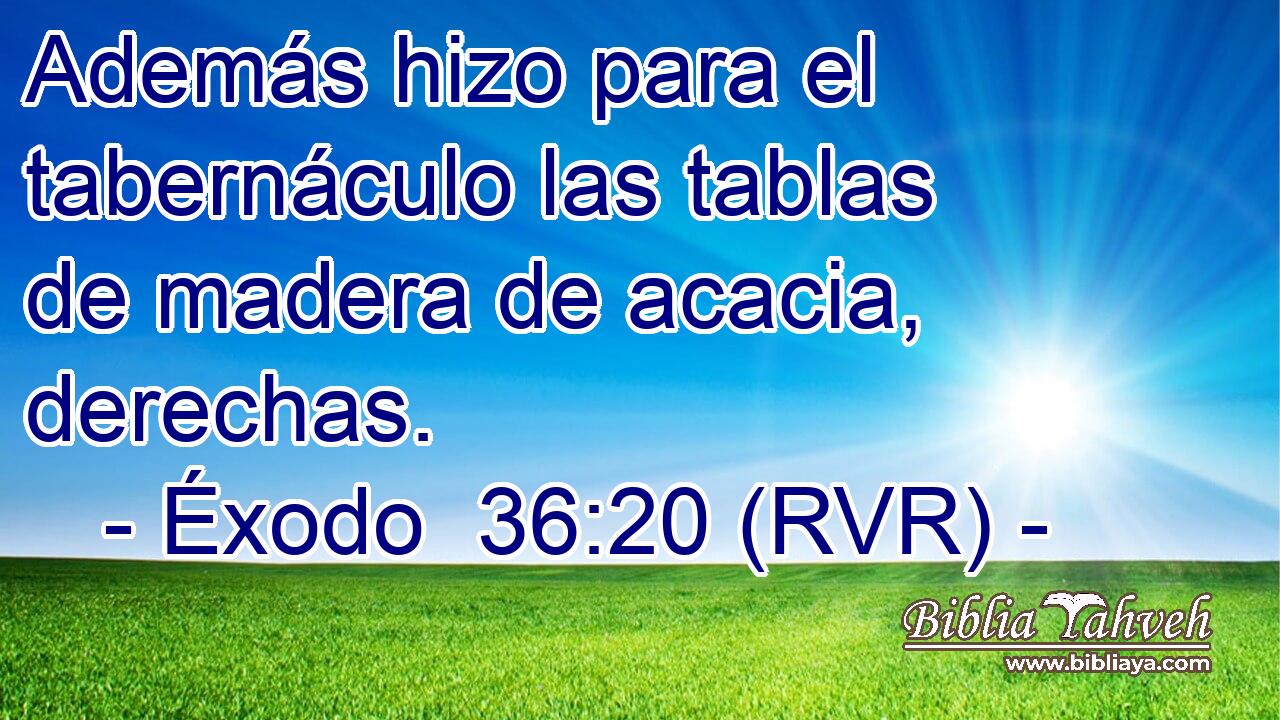 Además hizo para el tabernáculo las tablas de madera de acacia, derechas.