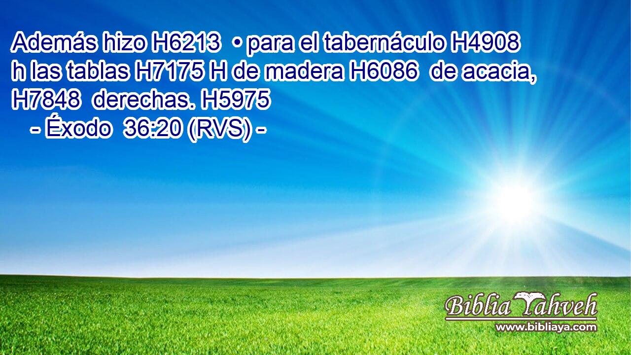 Además hizo H6213  • para el tabernáculo H4908 h las tablas H7175 H de madera H6086  de acacia, H7848  derechas. H5975  