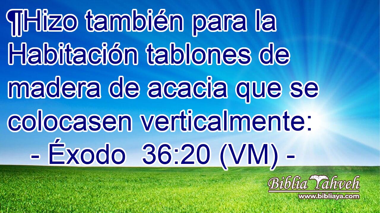  ¶Hizo también para la Habitación tablones de madera de acacia que se colocasen verticalmente: 