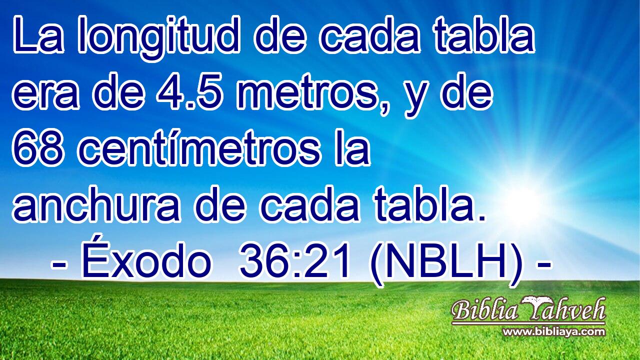  La longitud de cada tabla era de 4.5 metros, y de 68 centímetros la anchura de cada tabla. 