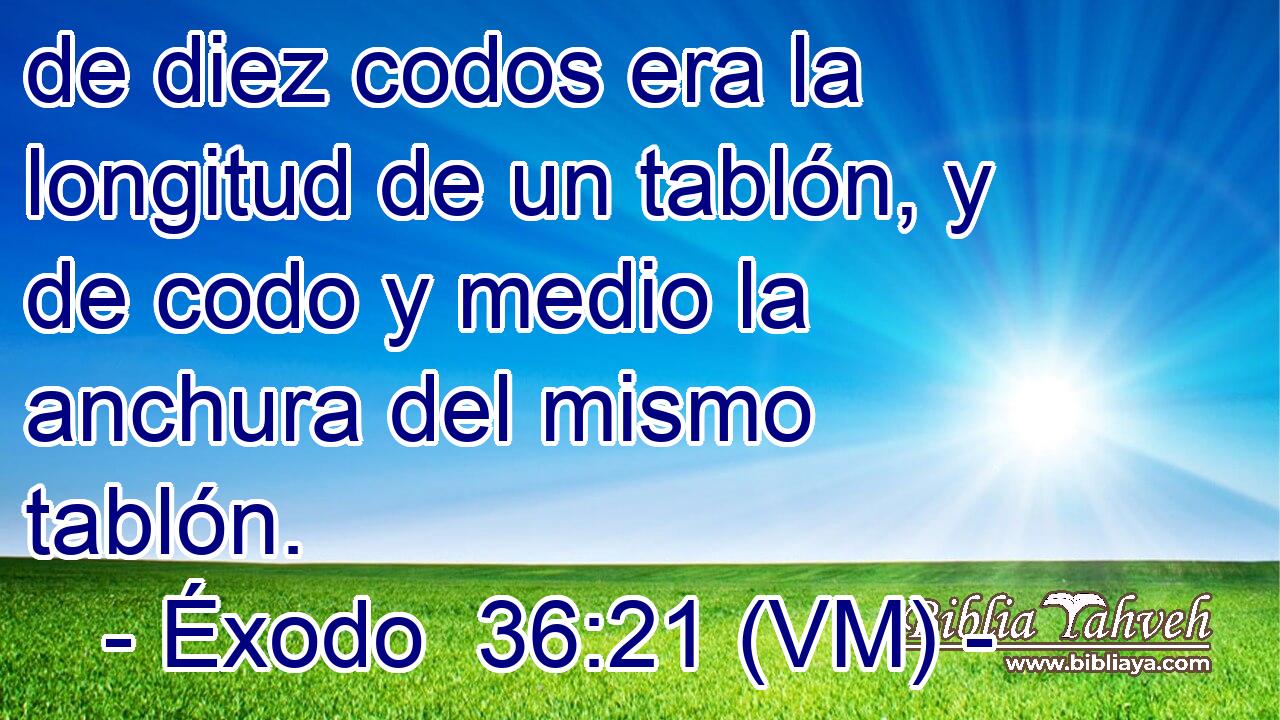  de diez codos era la longitud de un tablón, y de codo y medio la anchura del mismo tablón. 
