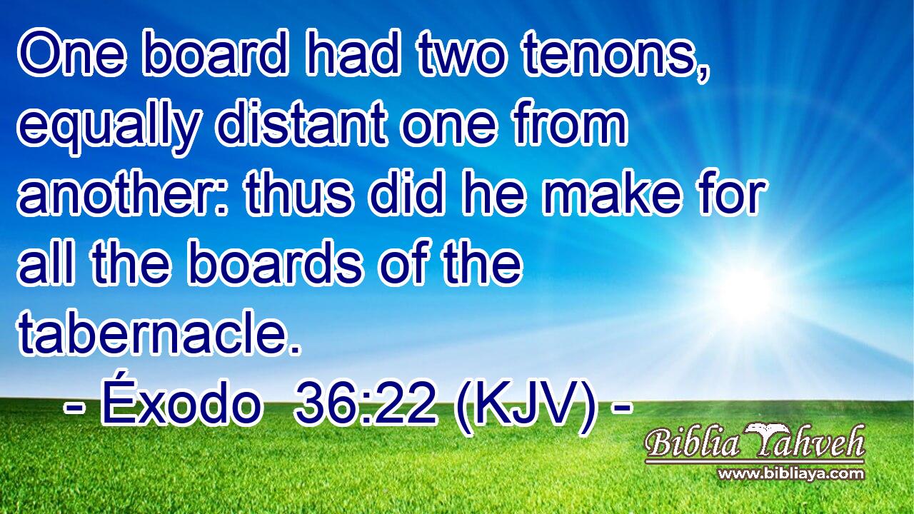 One board had two tenons, equally distant one from another: thus did he make for all the boards of the tabernacle.
