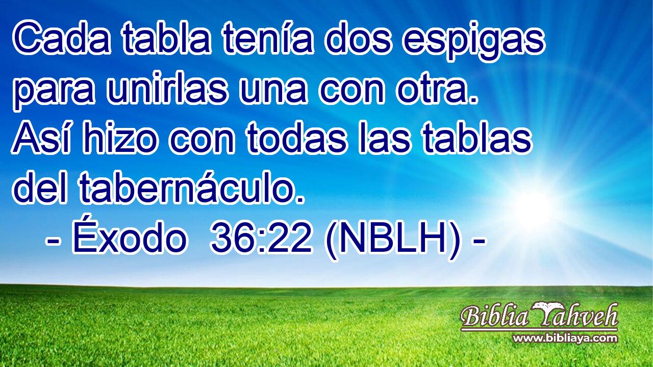  Cada tabla tenía dos espigas para unirlas una con otra. Así hizo con todas las tablas del tabernáculo. 