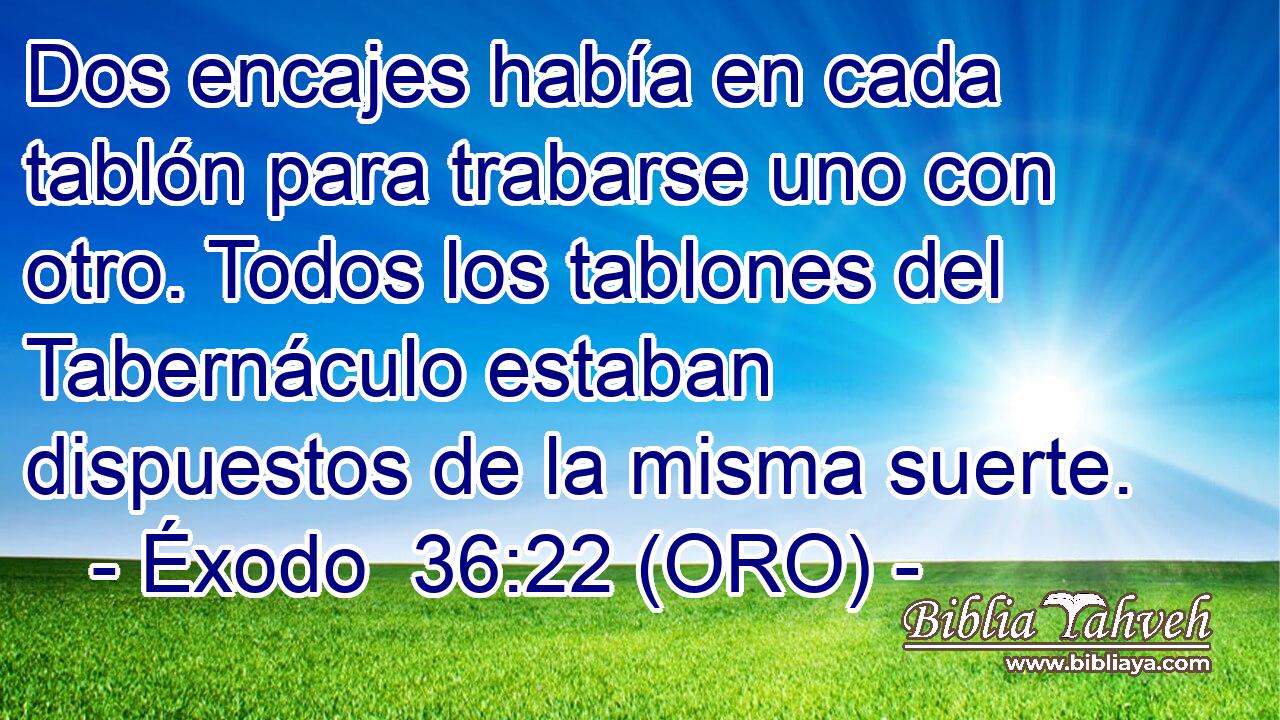  Dos encajes había en cada tablón para trabarse uno con otro. Todos los tablones del Tabernáculo estaban dispuestos de la misma suerte. 