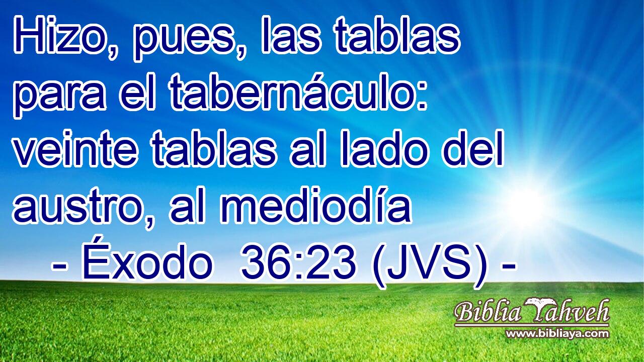 Hizo, pues, las tablas para el tabernáculo: veinte tablas al lado del austro, al mediodía