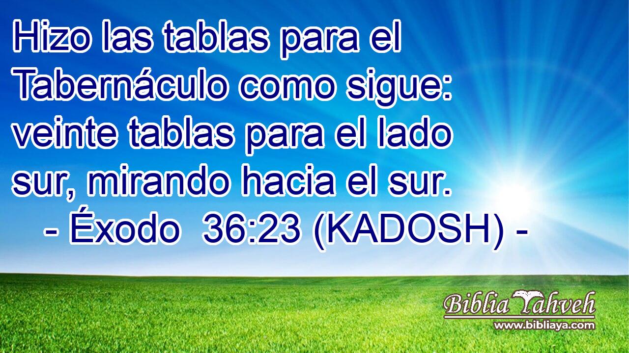  Hizo las tablas para el Tabernáculo como sigue: veinte tablas para el lado sur, mirando hacia el sur. 