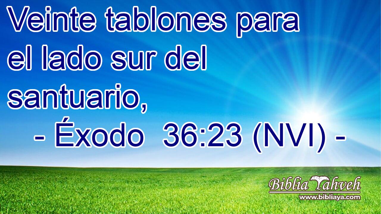  Veinte tablones para el lado sur del santuario, 