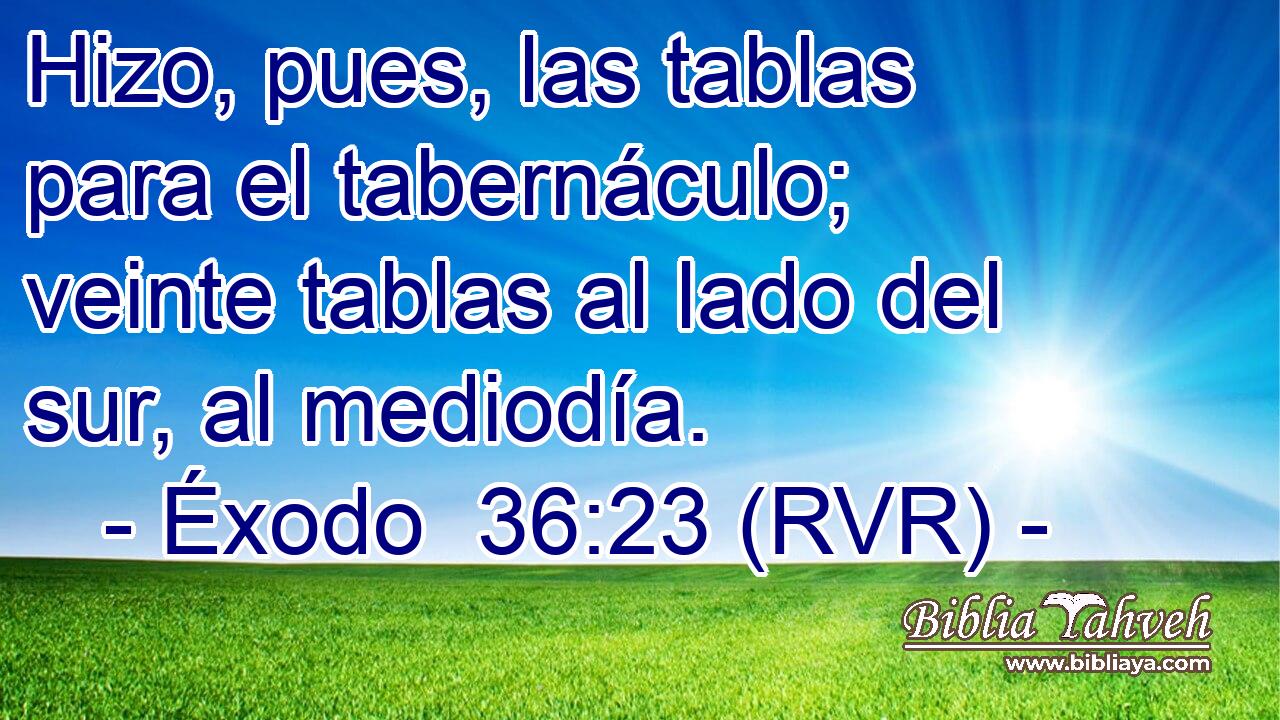 Hizo, pues, las tablas para el tabernáculo; veinte tablas al lado del sur, al mediodía.