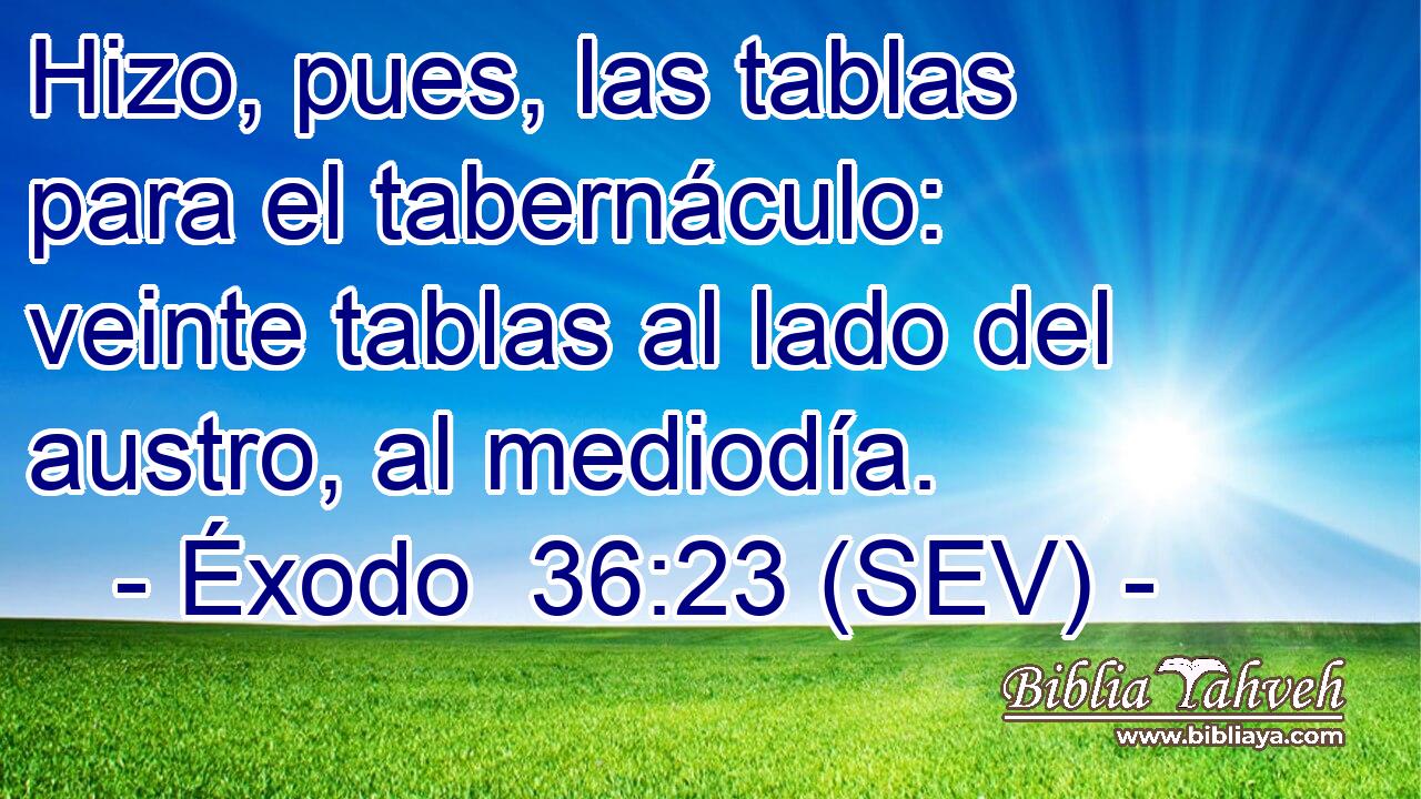 Hizo, pues, las tablas para el tabernáculo: veinte tablas al lado del austro, al mediodía.