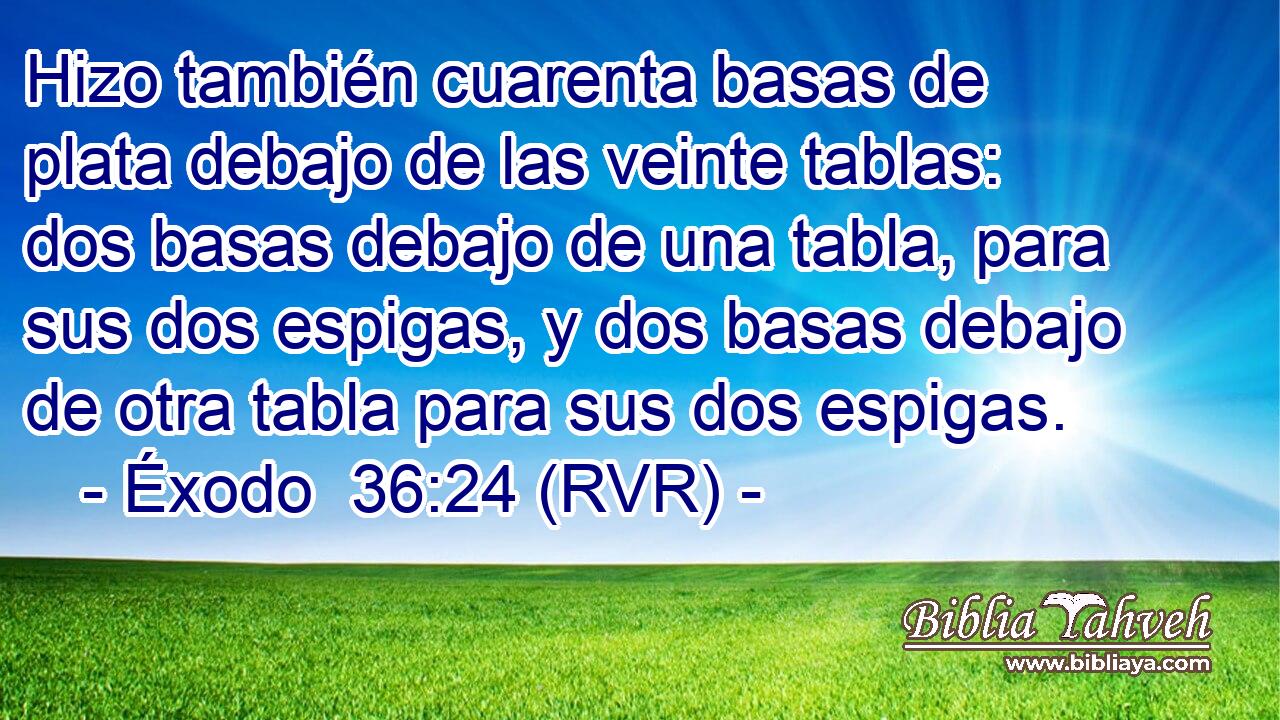 Hizo también cuarenta basas de plata debajo de las veinte tablas: dos basas debajo de una tabla, para sus dos espigas, y dos basas debajo de otra tabla para sus dos espigas.