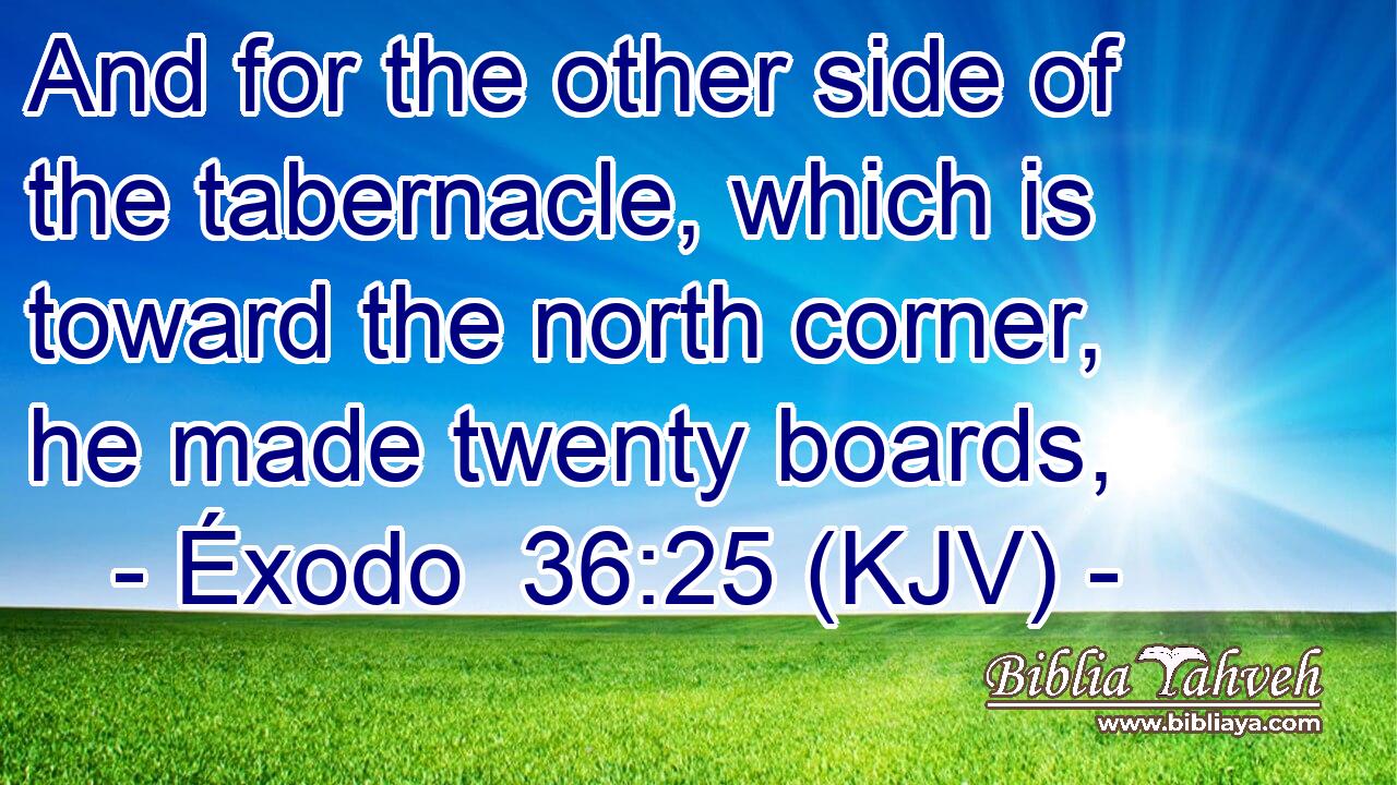 And for the other side of the tabernacle, which is toward the north corner, he made twenty boards,