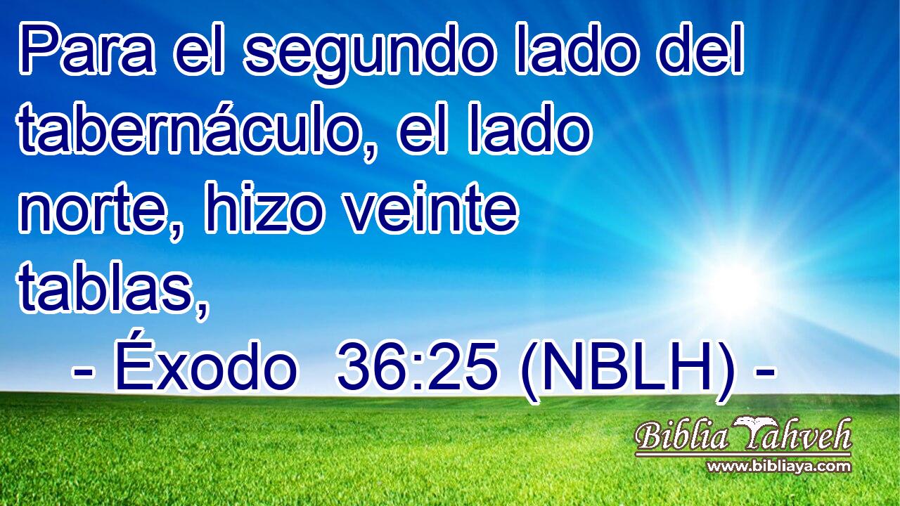 Para el segundo lado del tabernáculo, el lado norte, hizo veinte tablas, 