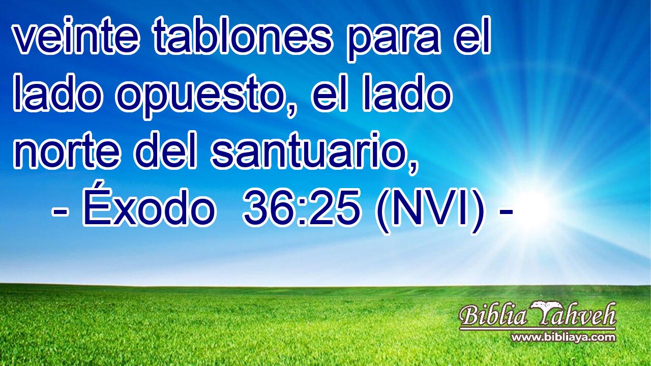  veinte tablones para el lado opuesto, el lado norte del santuario, 