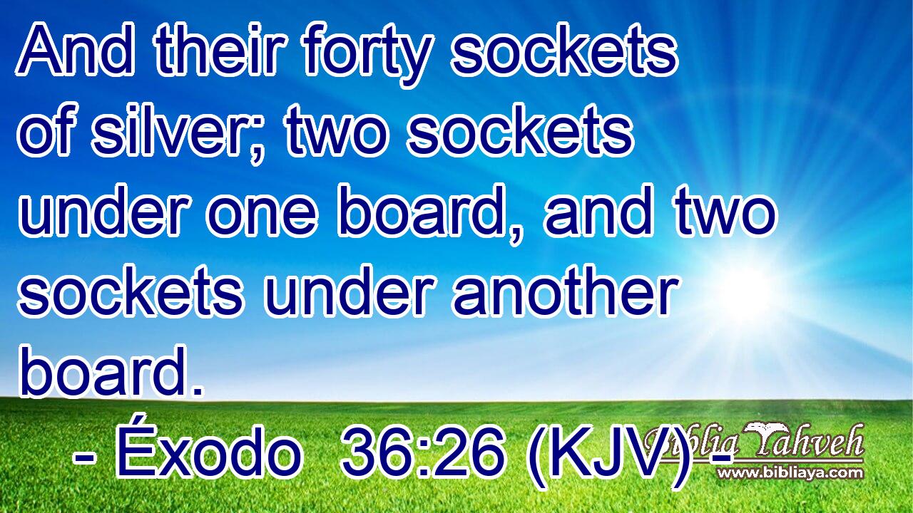 And their forty sockets of silver; two sockets under one board, and two sockets under another board.