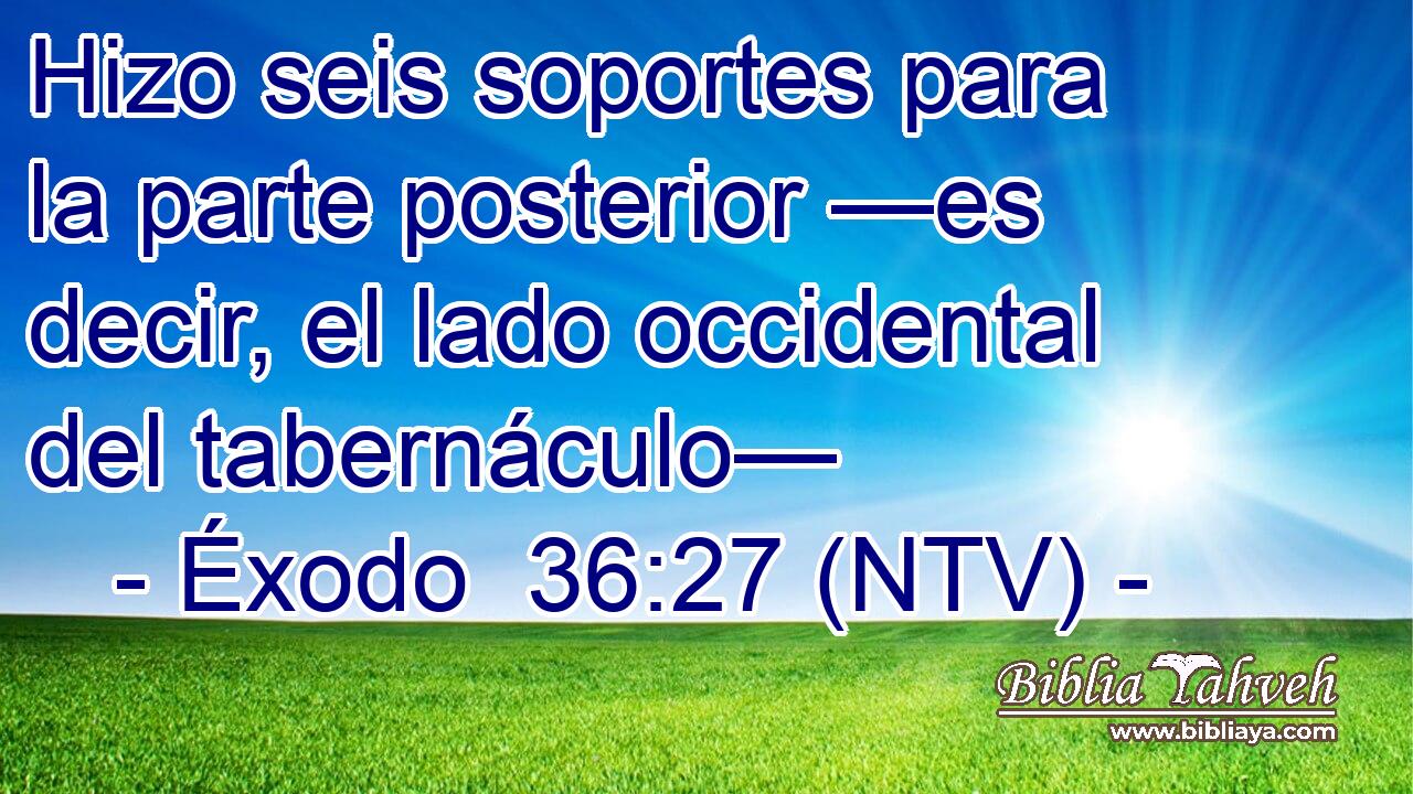 Hizo seis soportes para la parte posterior —es decir, el lado occidental del tabernáculo—