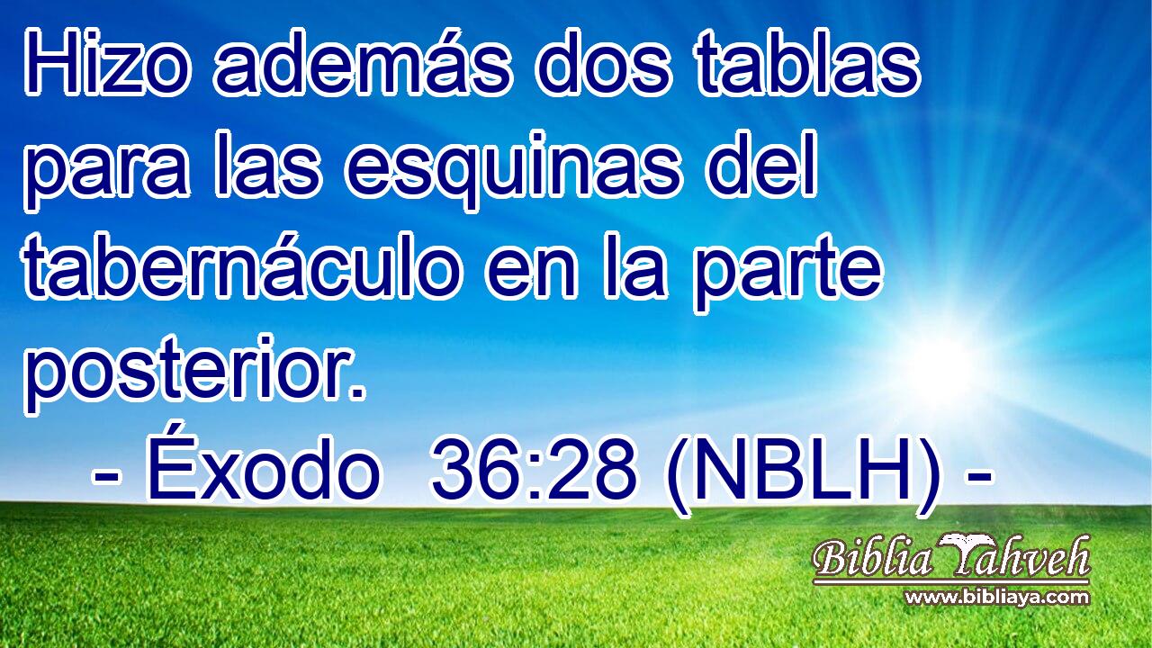  Hizo además dos tablas para las esquinas del tabernáculo en la parte posterior. 