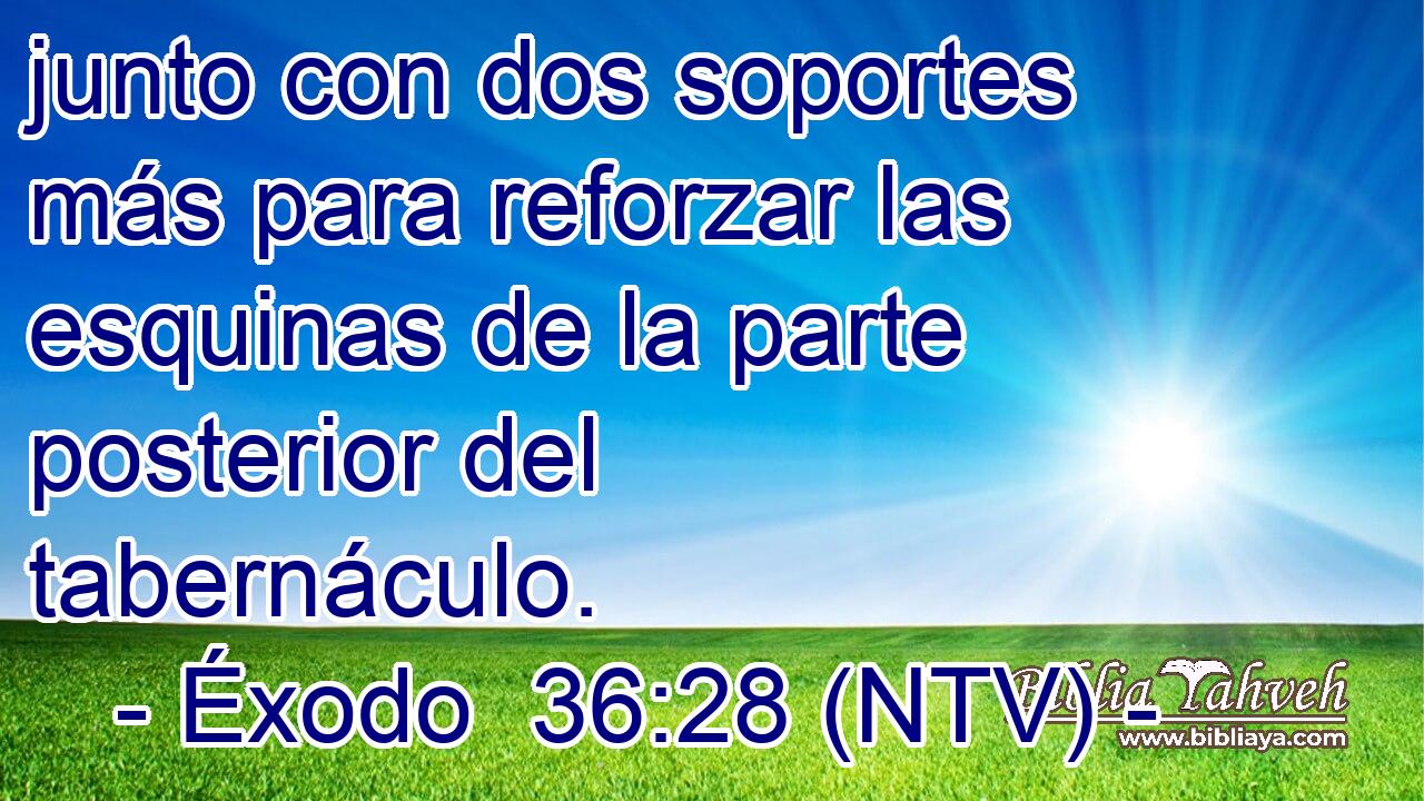 junto con dos soportes más para reforzar las esquinas de la parte posterior del tabernáculo.