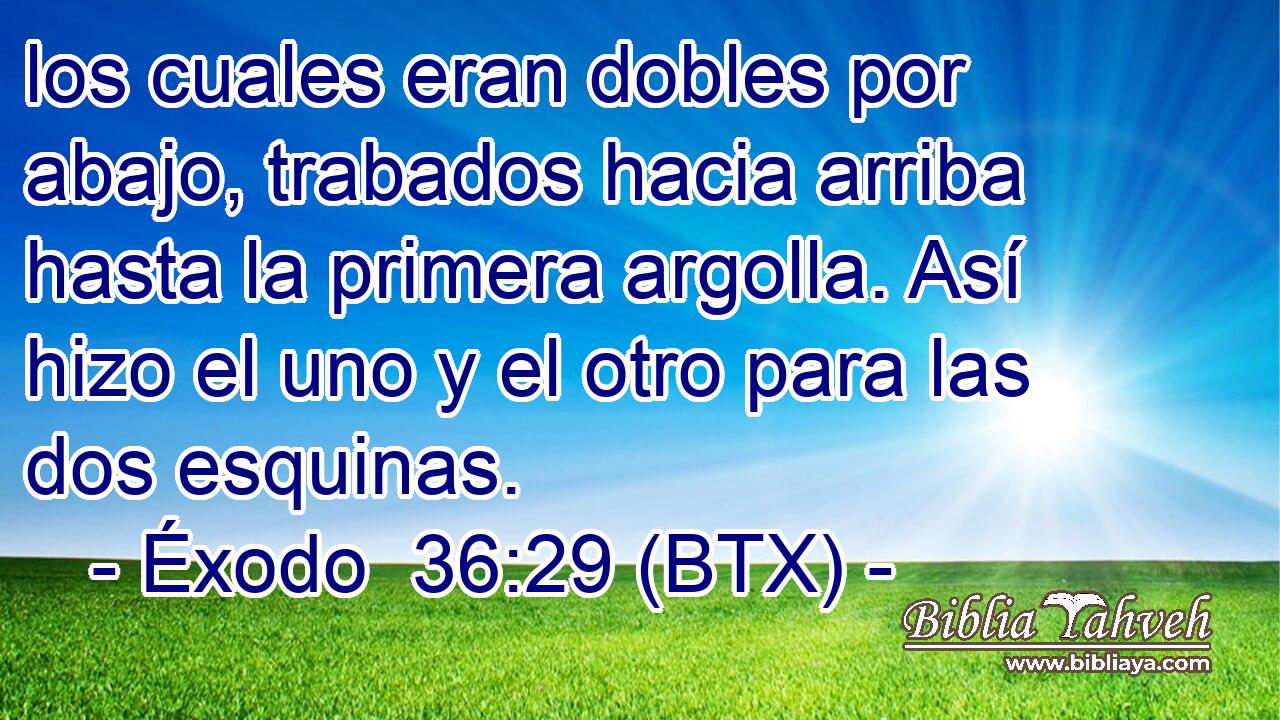 los cuales eran dobles por abajo, trabados hacia arriba hasta la primera argolla. Así hizo el uno y el otro para las dos esquinas.
