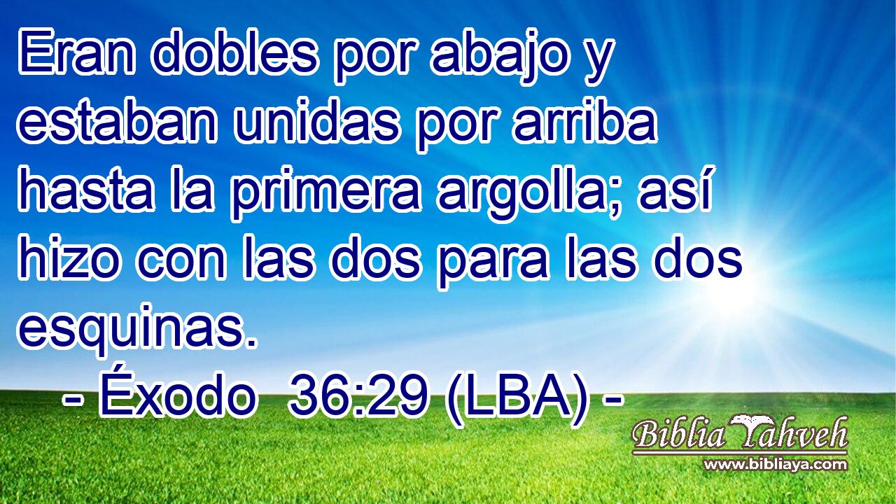 Eran dobles por abajo y estaban unidas por arriba hasta la primera argolla; así hizo con las dos para las dos esquinas.
