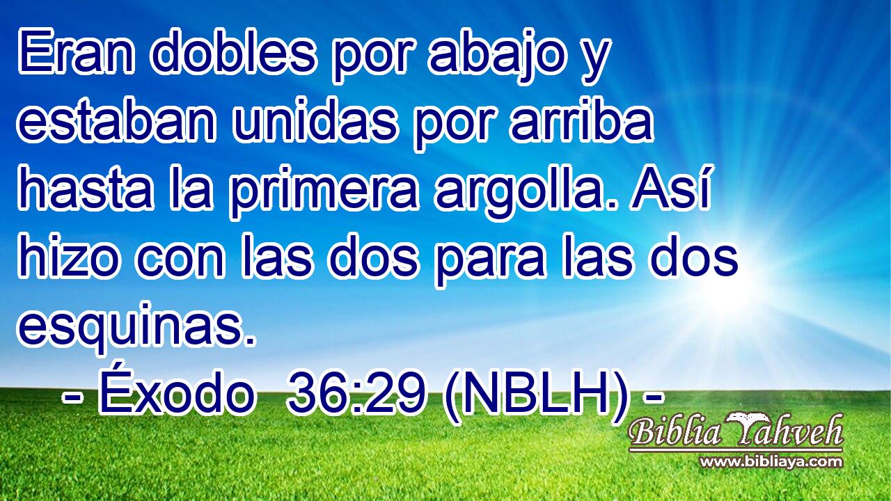  Eran dobles por abajo y estaban unidas por arriba hasta la primera argolla. Así hizo con las dos para las dos esquinas. 