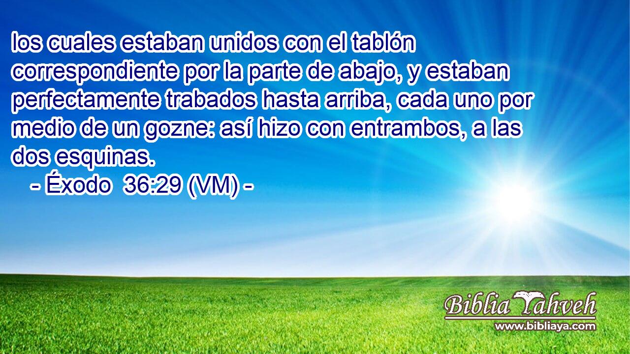  los cuales estaban unidos con el tablón correspondiente por la parte de abajo, y estaban perfectamente trabados hasta arriba, cada uno por medio de un gozne: así hizo con entrambos, a las dos esquinas. 