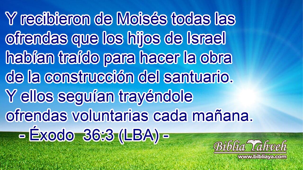Y recibieron de Moisés todas las ofrendas que los hijos de Israel habían traído para hacer la obra de la construcción del santuario. Y ellos seguían trayéndole ofrendas voluntarias cada mañana.