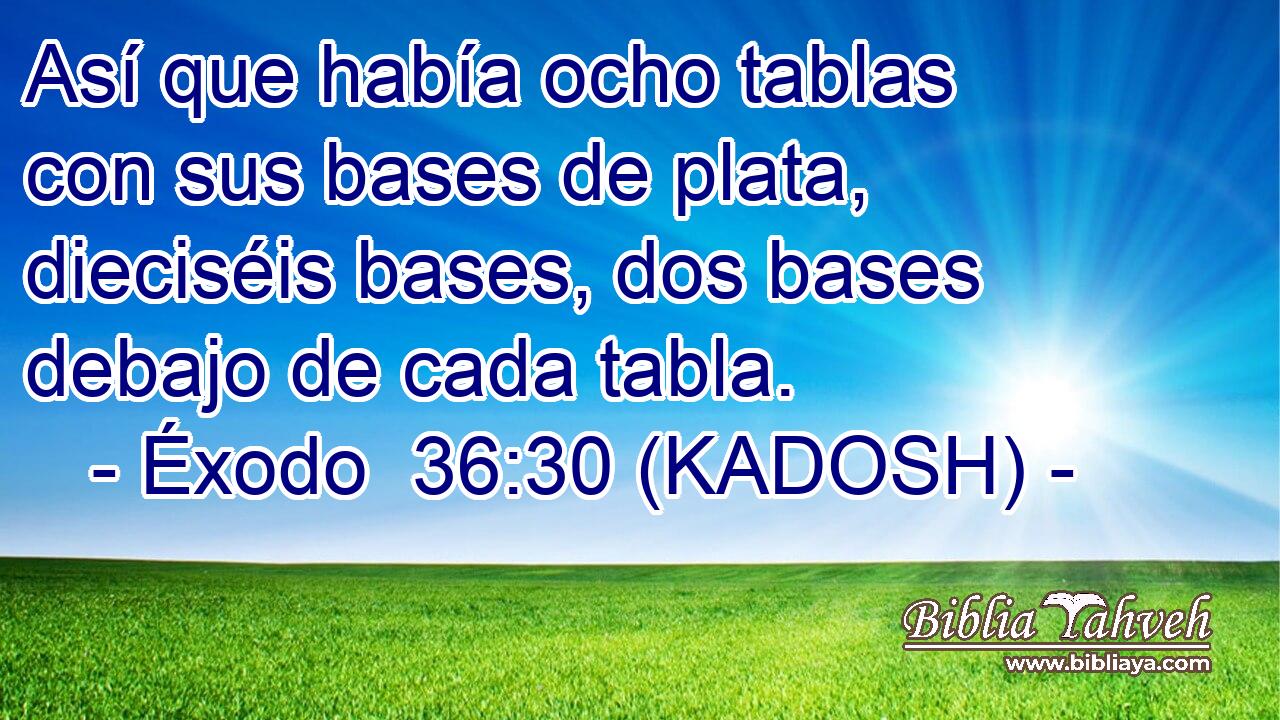  Así que había ocho tablas con sus bases de plata, dieciséis bases, dos bases debajo de cada tabla. 