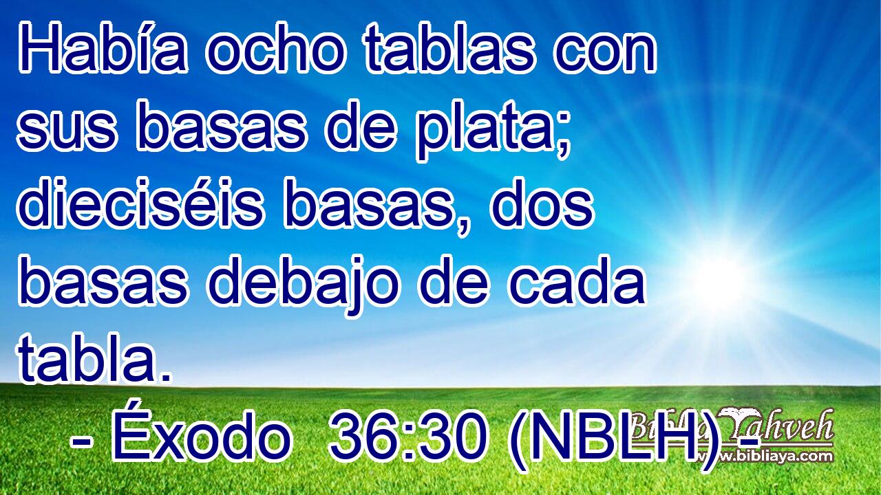  Había ocho tablas con sus basas de plata; dieciséis basas, dos basas debajo de cada tabla. 