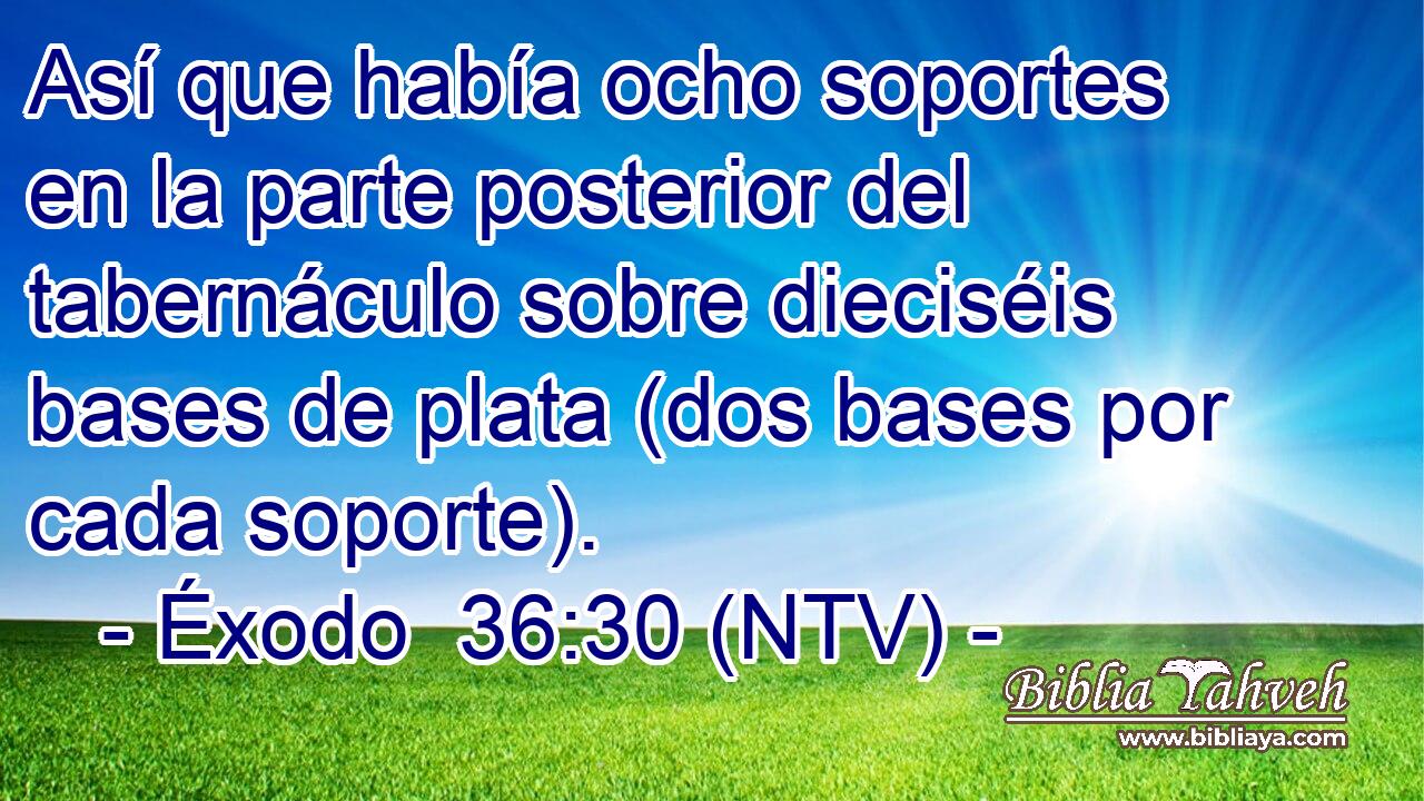 Así que había ocho soportes en la parte posterior del tabernáculo sobre dieciséis bases de plata (dos bases por cada soporte).