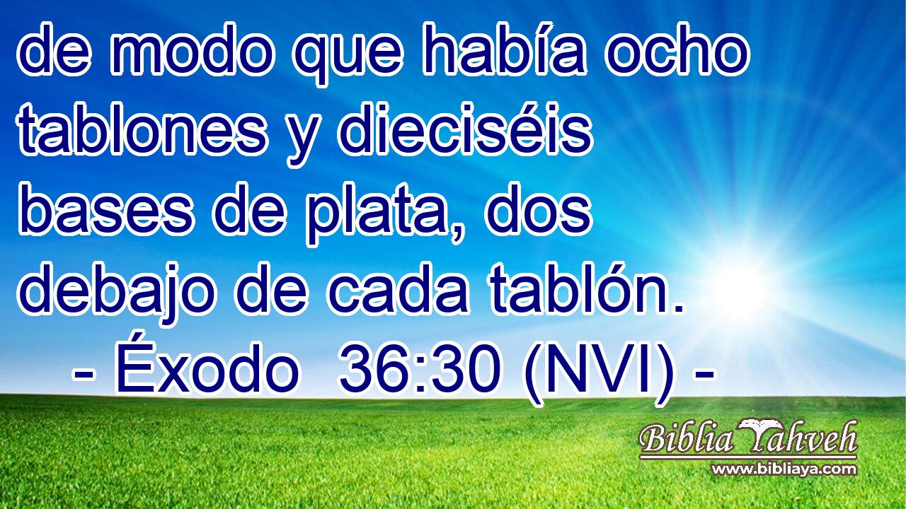  de modo que había ocho tablones y dieciséis bases de plata, dos debajo de cada tablón. 