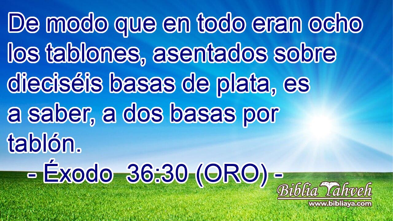  De modo que en todo eran ocho los tablones, asentados sobre dieciséis basas de plata, es a saber, a dos basas por tablón. 