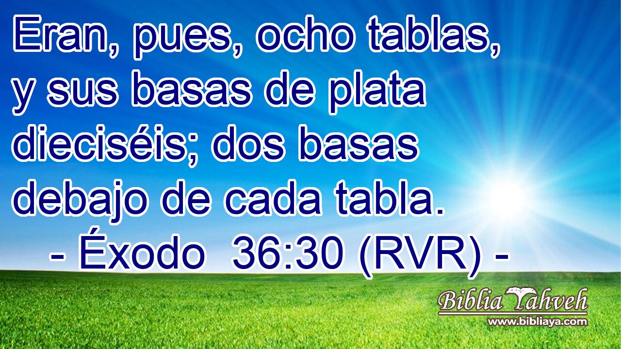 Eran, pues, ocho tablas, y sus basas de plata dieciséis; dos basas debajo de cada tabla.