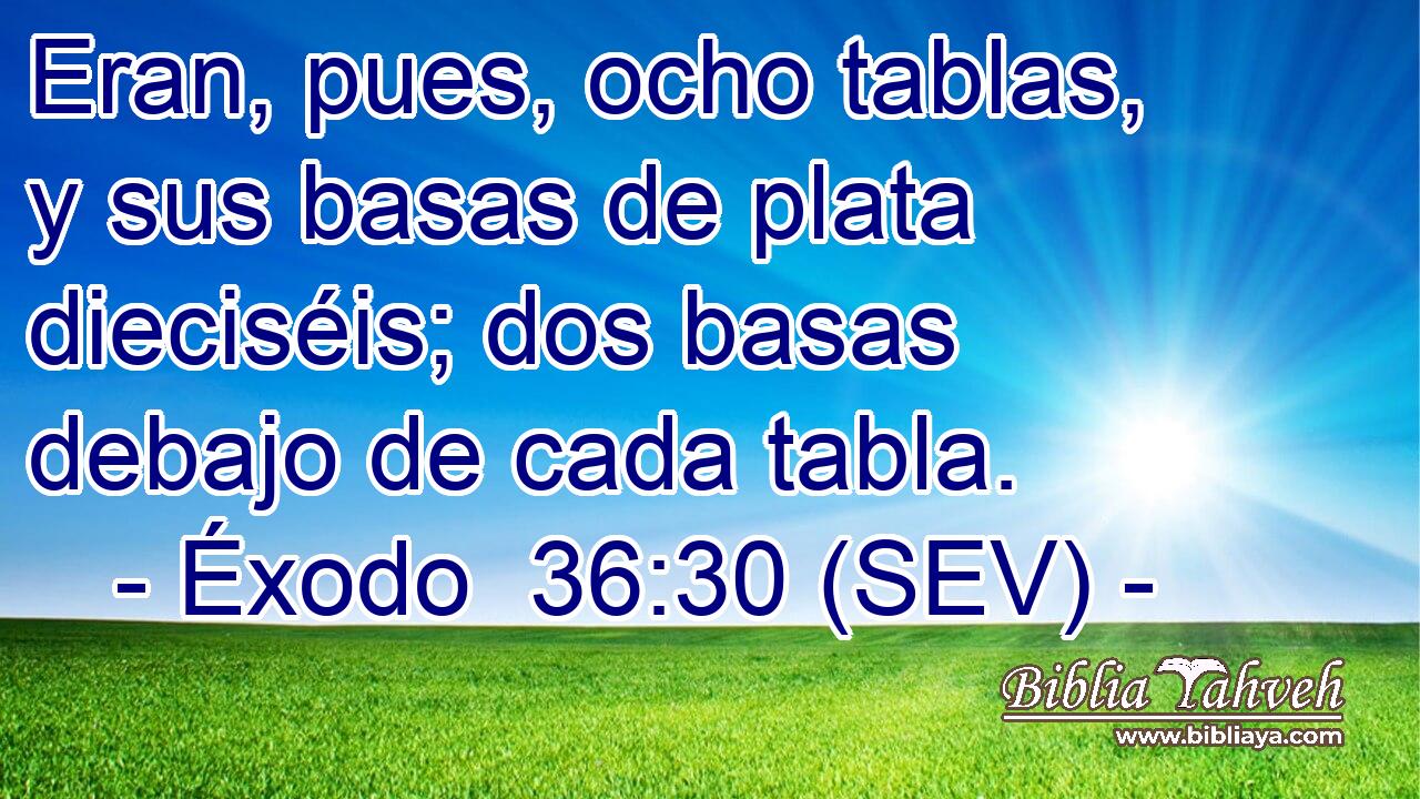 Eran, pues, ocho tablas, y sus basas de plata dieciséis; dos basas debajo de cada tabla.