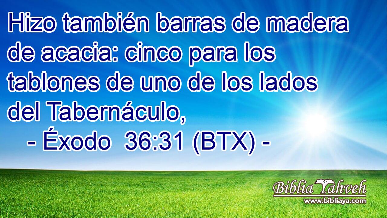 Hizo también barras de madera de acacia: cinco para los tablones de uno de los lados del Tabernáculo,