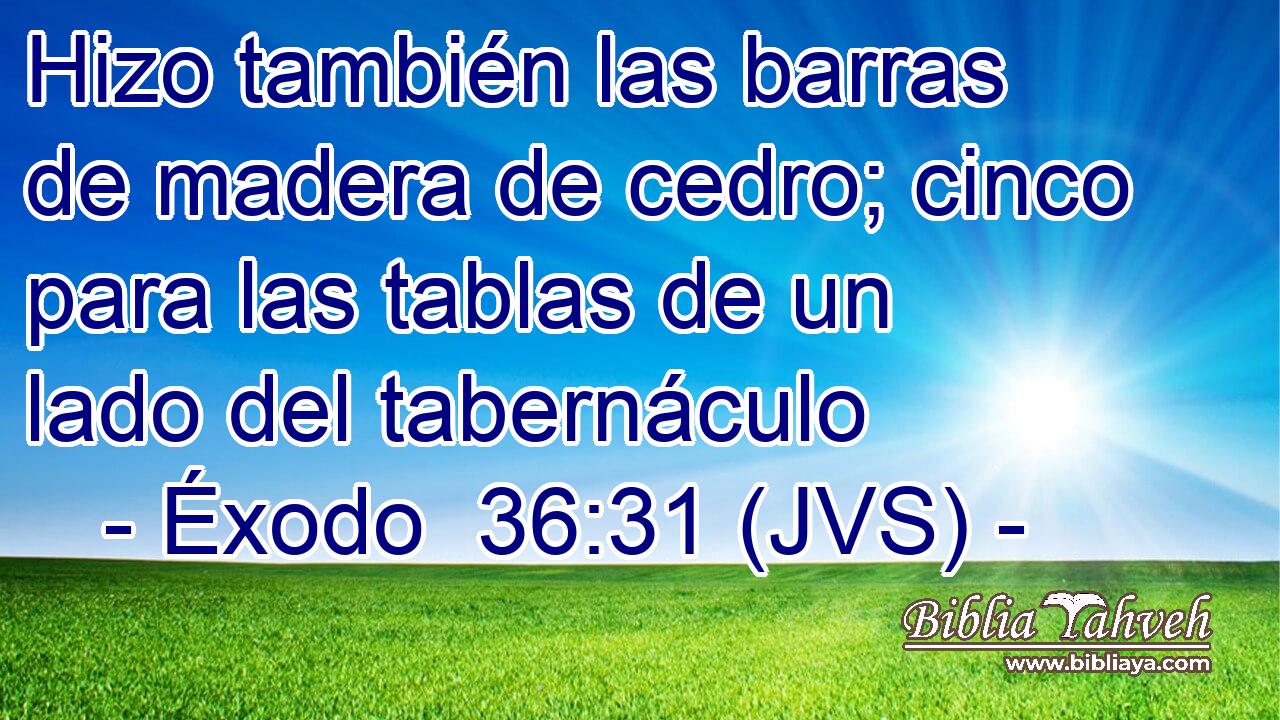 Hizo también las barras de madera de cedro; cinco para las tablas de un lado del tabernáculo