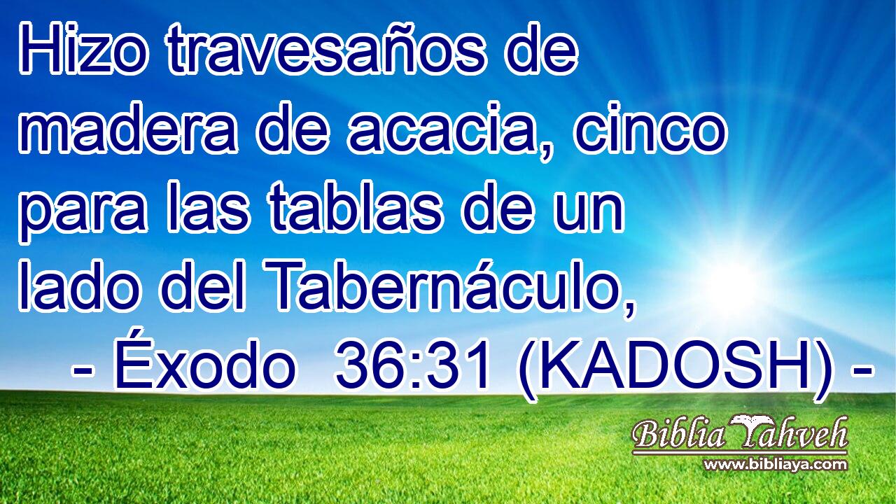  Hizo travesaños de madera de acacia, cinco para las tablas de un lado del Tabernáculo, 