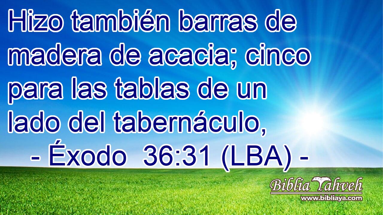 Hizo también barras de madera de acacia; cinco para las tablas de un lado del tabernáculo,