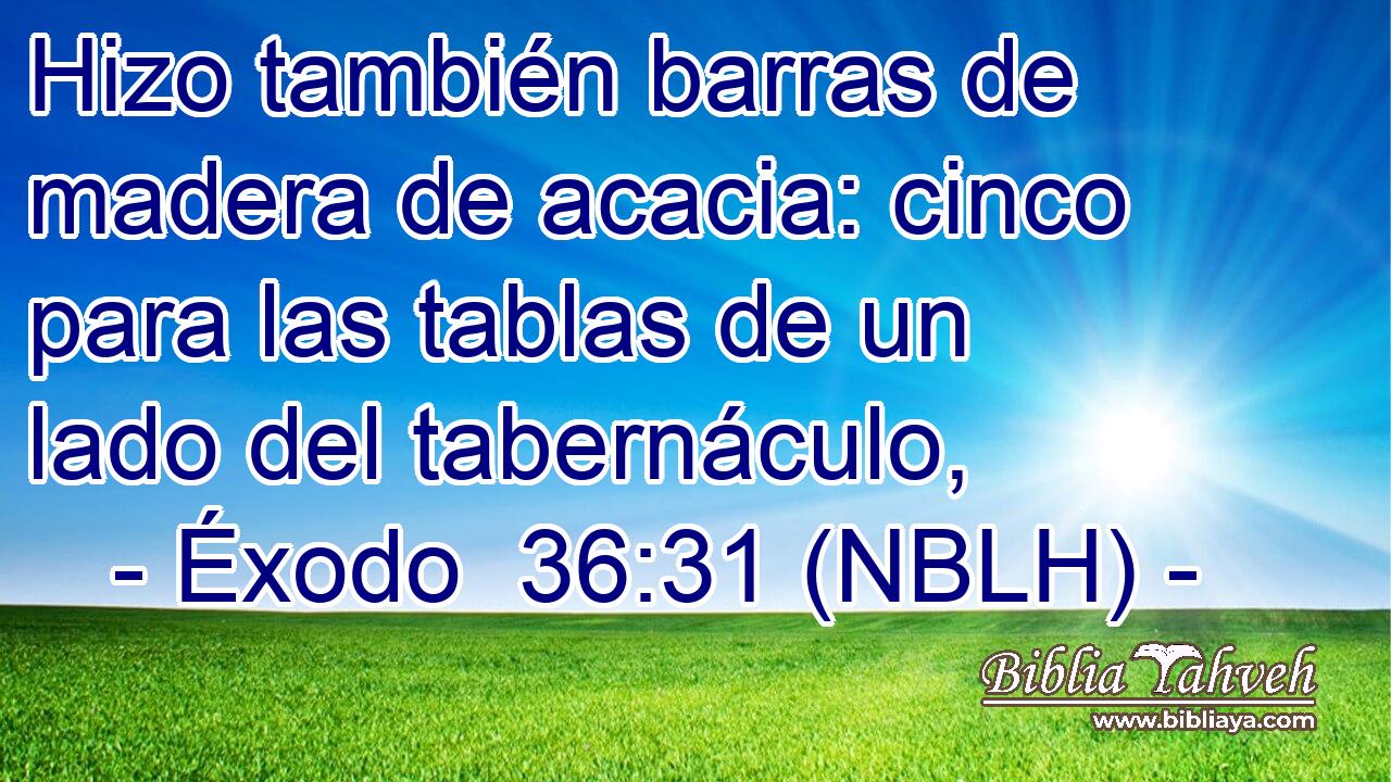  Hizo también barras de madera de acacia: cinco para las tablas de un lado del tabernáculo, 