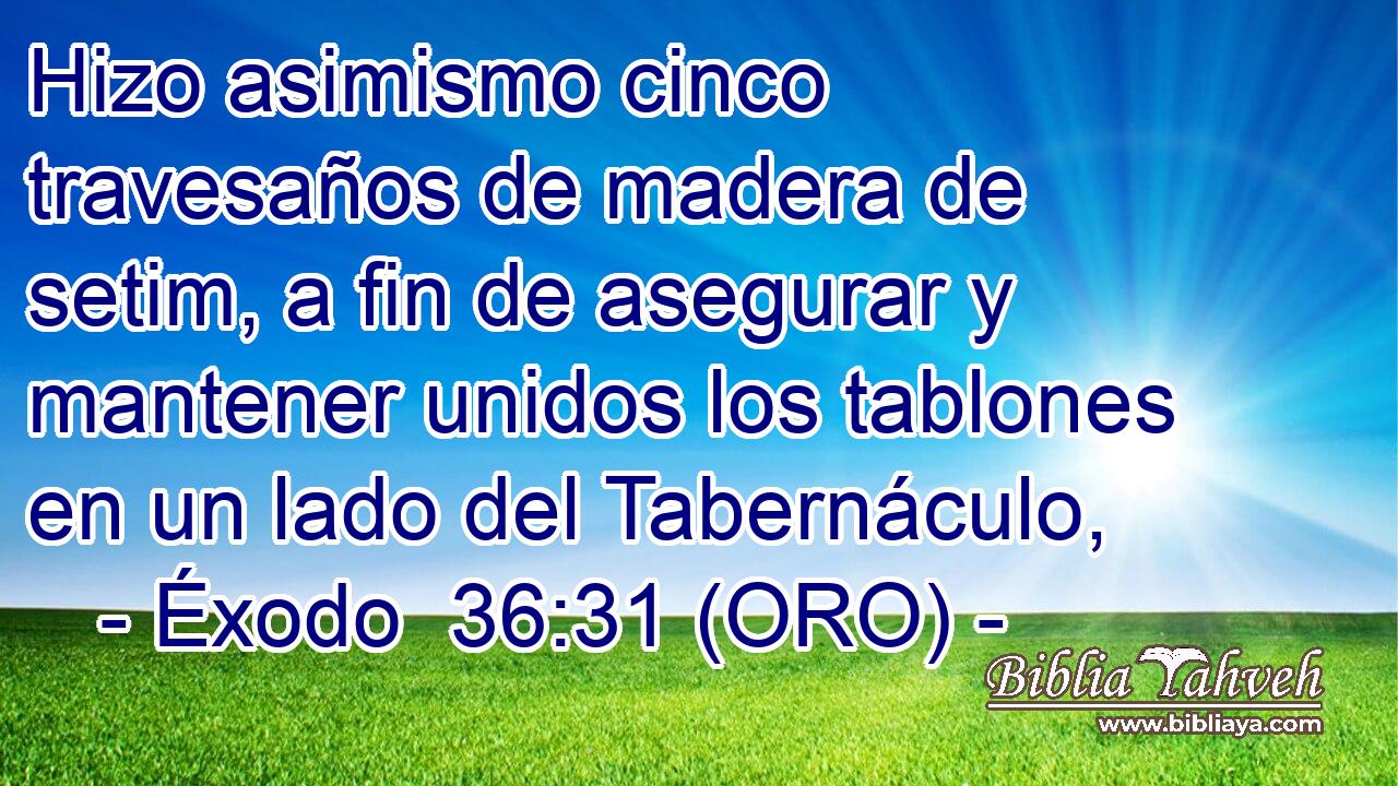  Hizo asimismo cinco travesaños de madera de setim, a fin de asegurar y mantener unidos los tablones en un lado del Tabernáculo, 