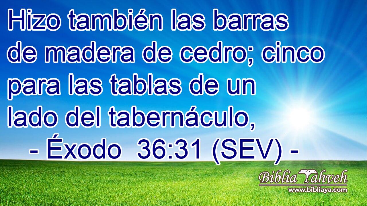 Hizo también las barras de madera de cedro; cinco para las tablas de un lado del tabernáculo,
