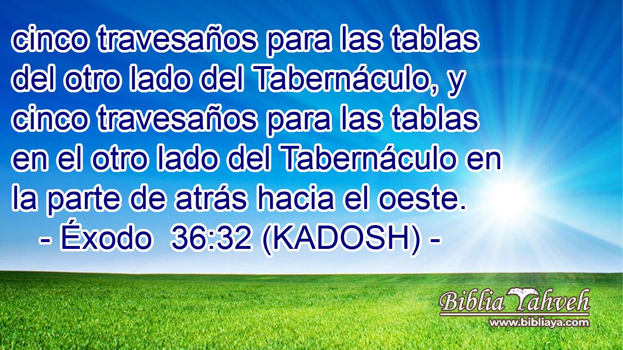  cinco travesaños para las tablas del otro lado del Tabernáculo, y cinco travesaños para las tablas en el otro lado del Tabernáculo en la parte de atrás hacia el oeste. 