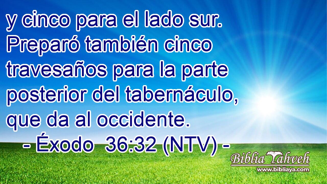 y cinco para el lado sur. Preparó también cinco travesaños para la parte posterior del tabernáculo, que da al occidente.