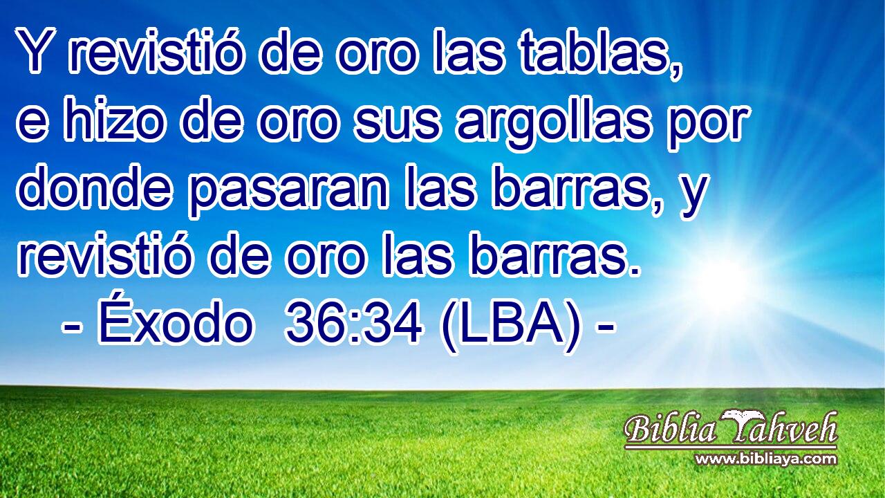Y revistió de oro las tablas, e hizo de oro sus argollas por donde pasaran las barras, y revistió de oro las barras.