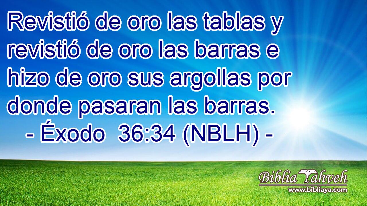  Revistió de oro las tablas y revistió de oro las barras e hizo de oro sus argollas por donde pasaran las barras. 
