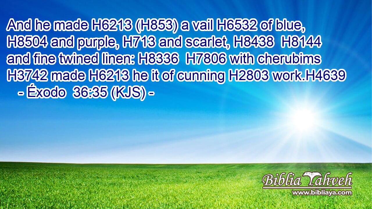 And he made H6213 (H853) a vail H6532 of blue, H8504 and purple, H713 and scarlet, H8438  H8144 and fine twined linen: H8336  H7806 with cherubims H3742 made H6213 he it of cunning H2803 work.H4639