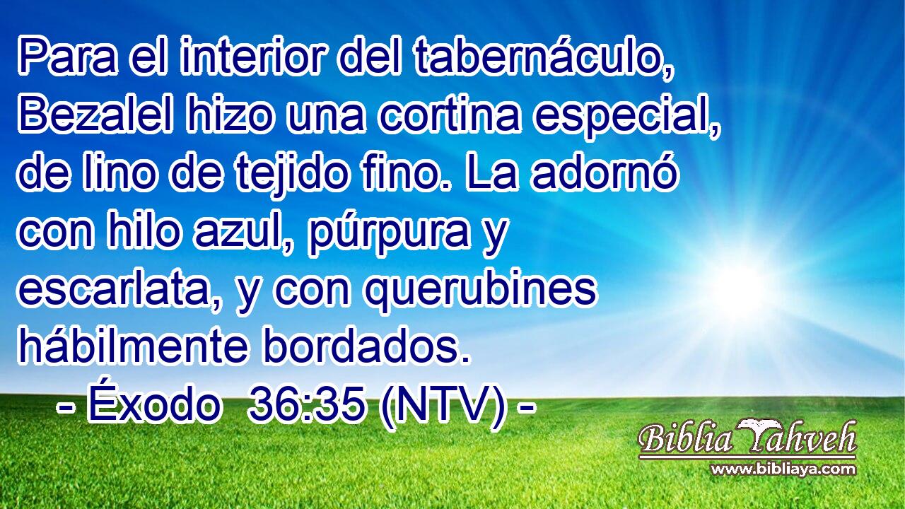 Para el interior del tabernáculo, Bezalel hizo una cortina especial, de lino de tejido fino. La adornó con hilo azul, púrpura y escarlata, y con querubines hábilmente bordados.