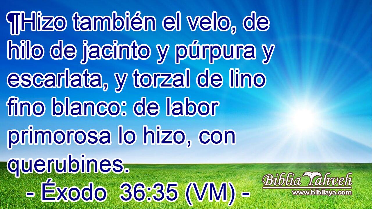  ¶Hizo también el velo, de hilo de jacinto y púrpura y escarlata, y torzal de lino fino blanco: de labor primorosa lo hizo, con querubines. 