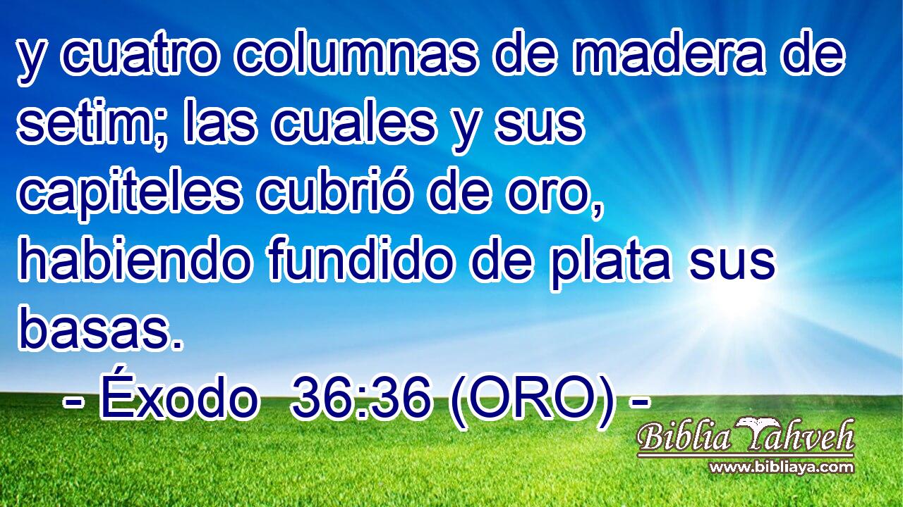  y cuatro columnas de madera de setim; las cuales y sus capiteles cubrió de oro, habiendo fundido de plata sus basas. 