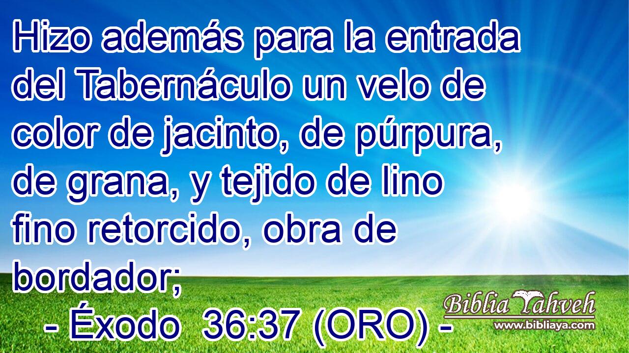  Hizo además para la entrada del Tabernáculo un velo de color de jacinto, de púrpura, de grana, y tejido de lino fino retorcido, obra de bordador; 